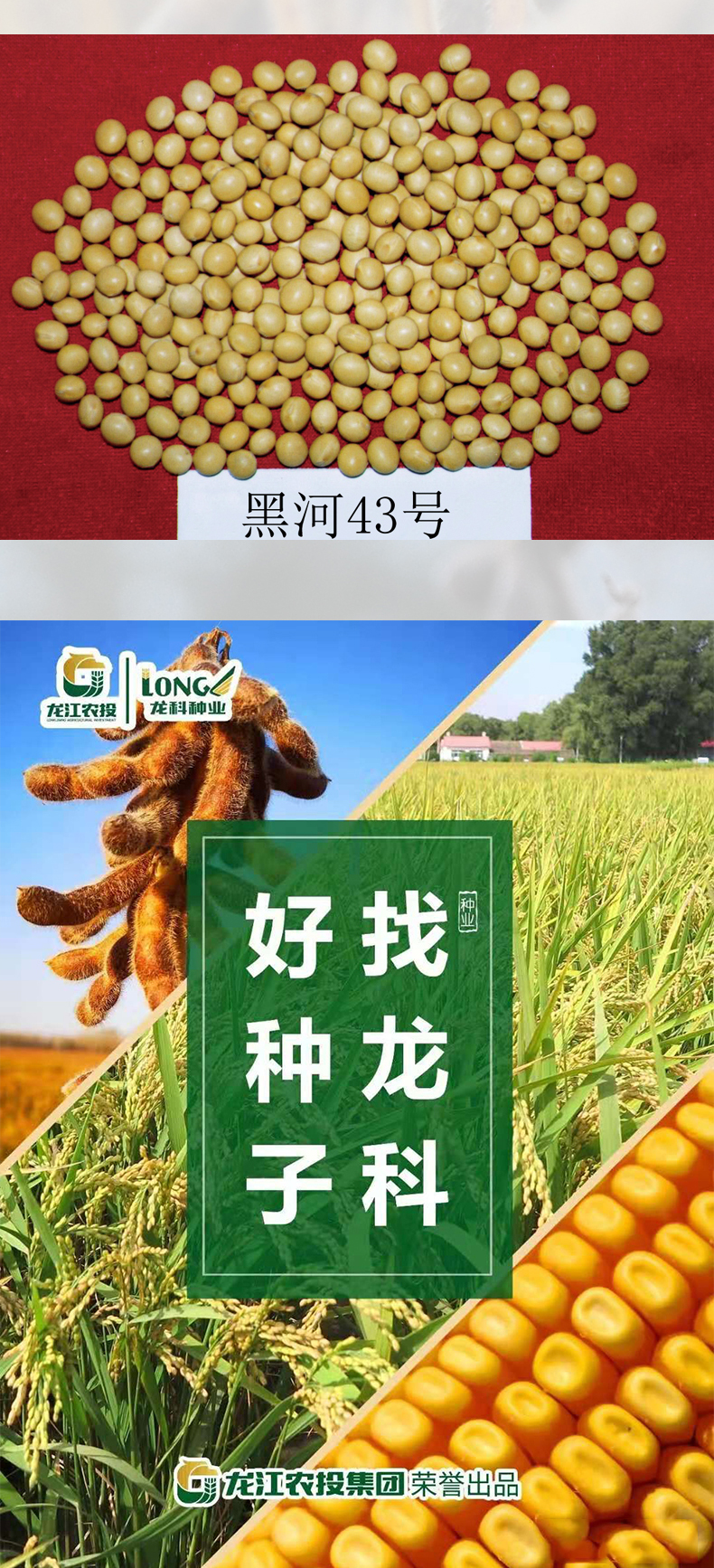 黑河43產(chǎn)品詳情_(kāi)03.jpg